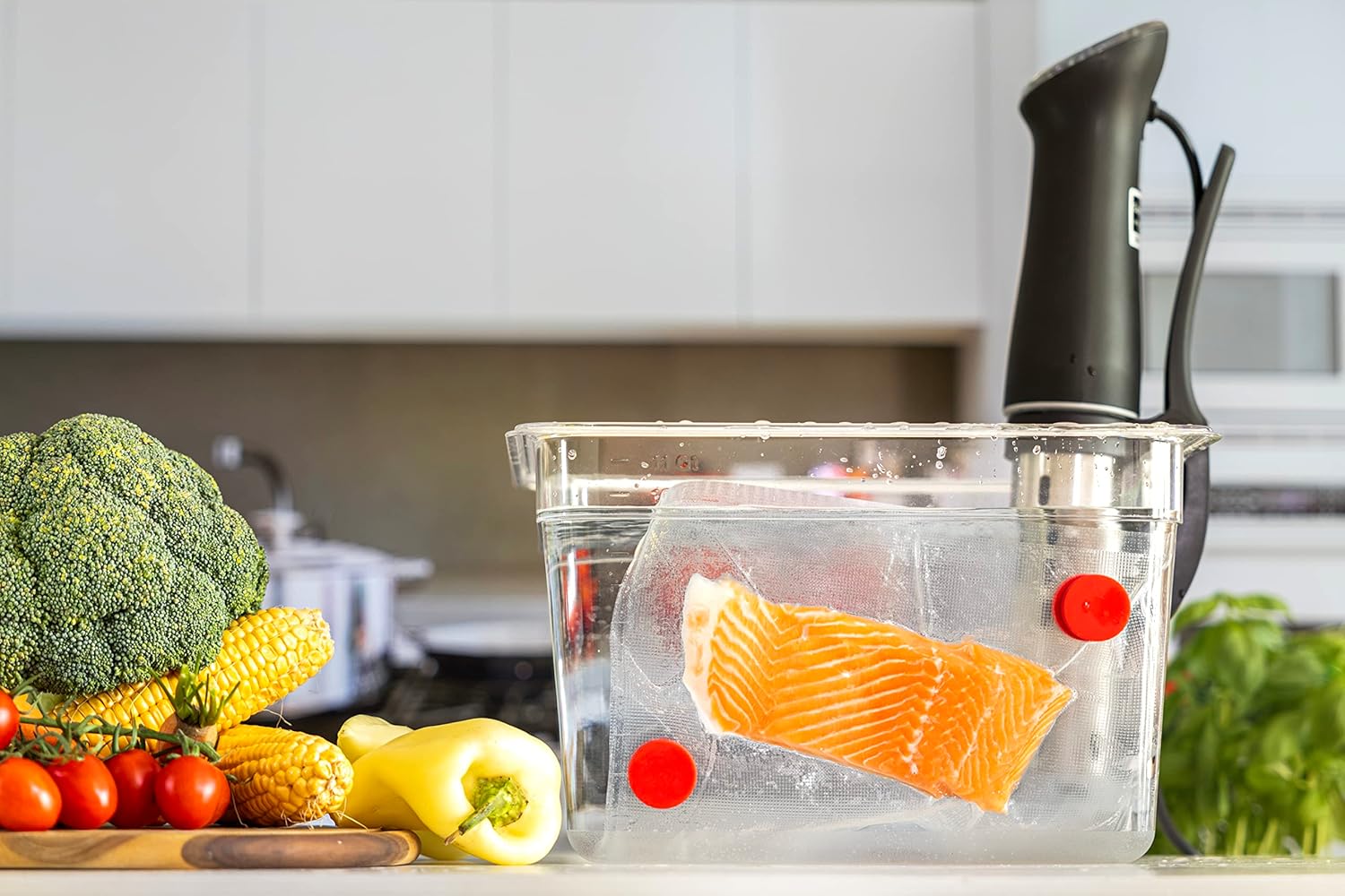 Sous Vide Set magnet lapisan s - Camping Cooking Tool Set ulasan dan harga