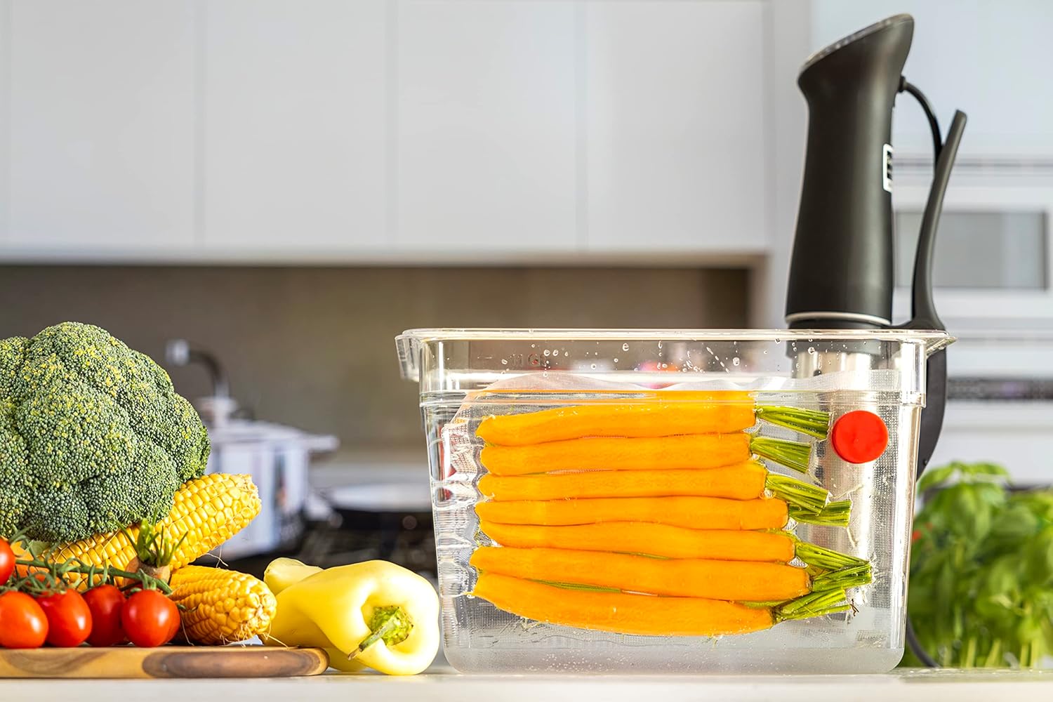 Sous Vide Set magnet lapisan s - Camping Cooking Tool Set ulasan dan harga